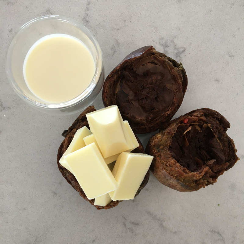 Chocolate truffles with native gardenia bush tucker native australian fruit recipe